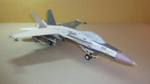 F-18 Hornet (03).JPG

69,81 KB 
1024 x 576 
22.05.2020
